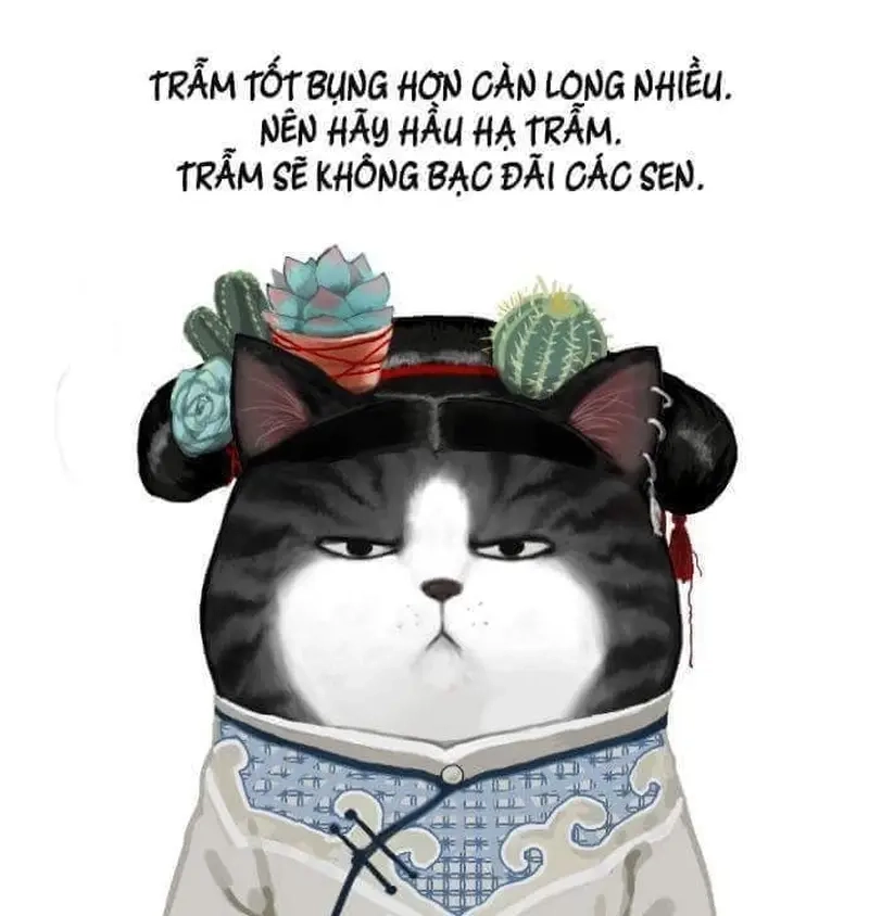 Hoàng thượng (mèo) biết rõ mình là trung tâm meme hoàng thượng (mèo)