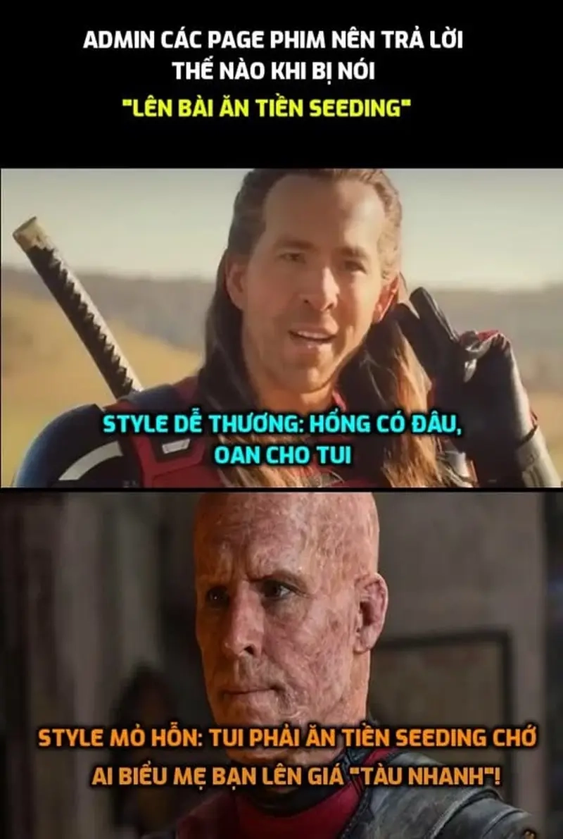 Tổng hợp meme seeding meme về Văn hóa Internet hấp dẫn
