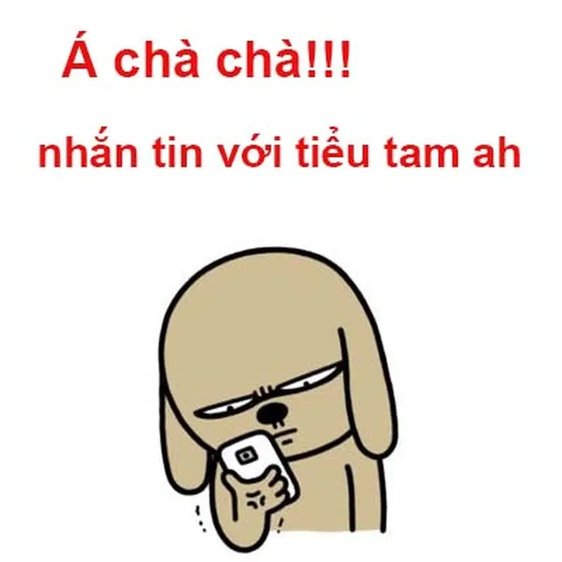 Meme Tuesday vui vẻ meme về Văn hóa Internet thú vị