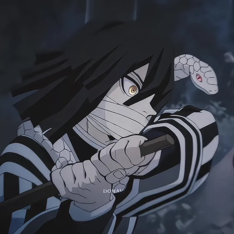 Iguro Obanai x Mitsuri Kanroji là cặp đôi được yêu thích nhất