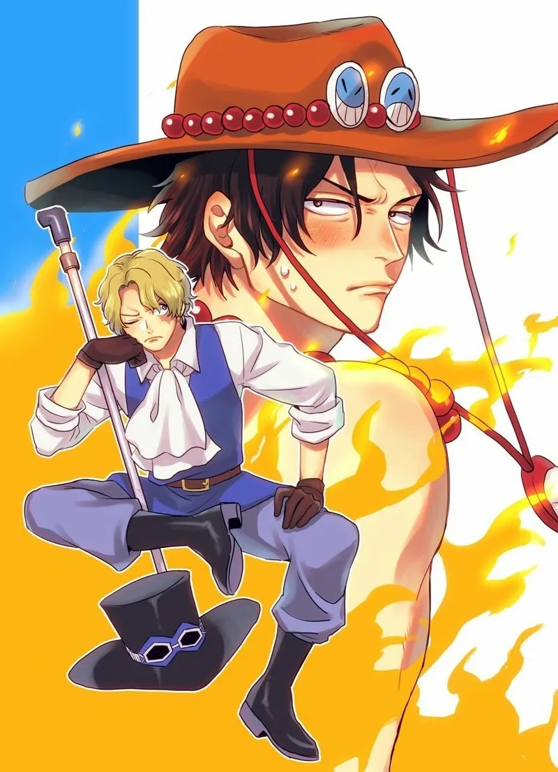 Tuyển tập ảnh Ace x Sabo đẹp và ấn tượng