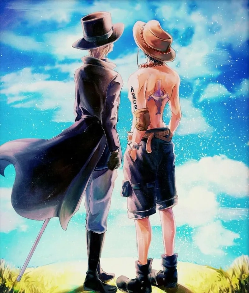 Chủ đề Ace và Sabo đam mỹ gây sốt cộng đồng