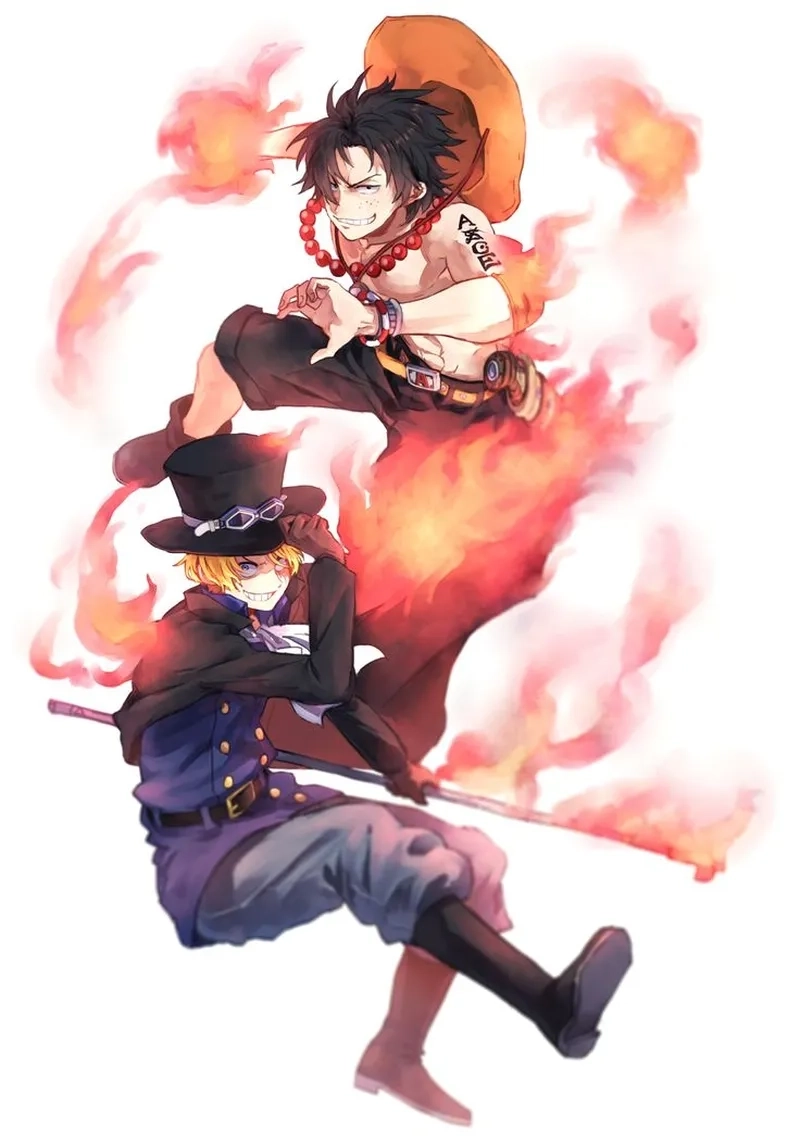 Tuyển chọn ảnh One Piece Sabo x Ace đầy cảm xúc