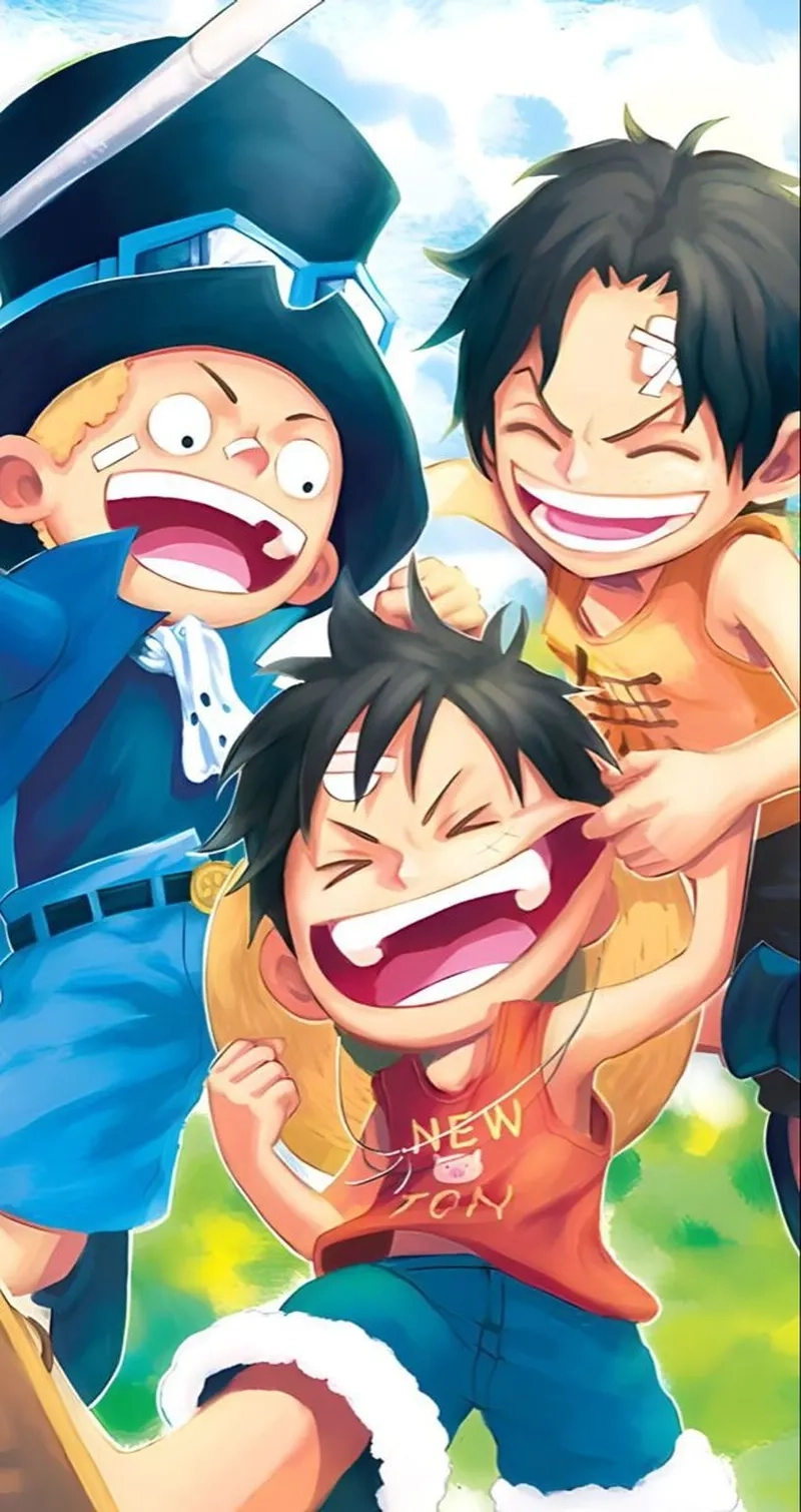 Tinh thần đoàn kết trong Ace và Luffy và Sabo