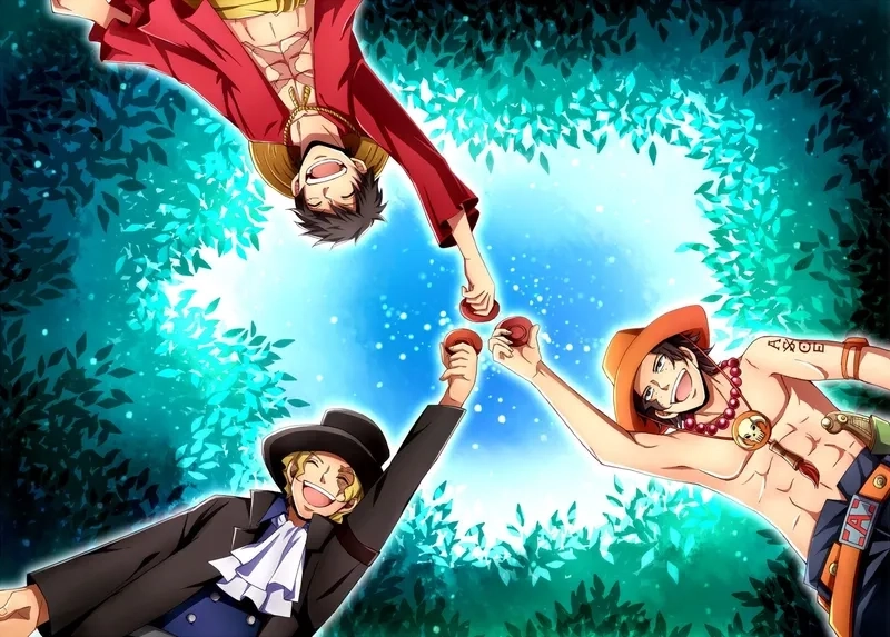 Tình thân vững bền của Luffy và Ace và Sabo