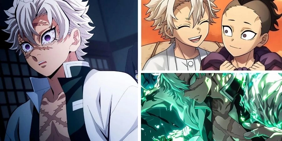 Tiểu sử về Sanemi