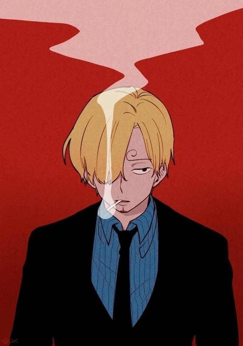 Ảnh minh họa sống động trả lời câu hỏi Sanji là ai