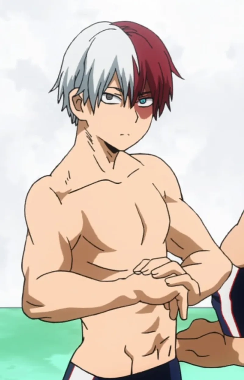 My Hero Academia Shoto là chủ đề hot trong cộng đồng fan