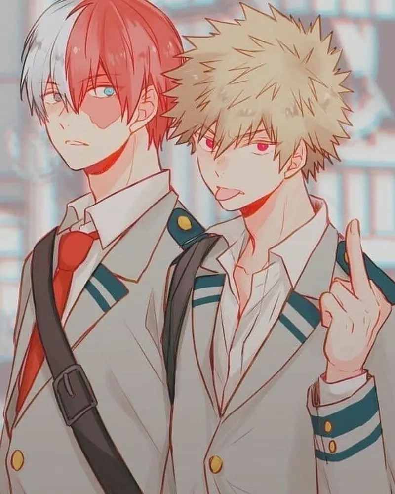 Shoto Bakugo là cặp đôi được nhắc đến nhiều trong fandom