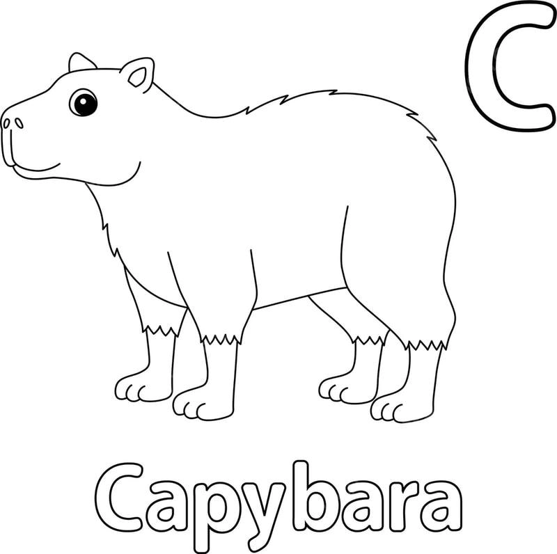Tranh capybara tô màu dễ thương giúp bé vui chơi
