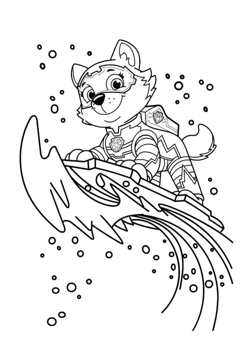 Sáng tạo không giới hạn cùng hình chó cứu hộ tô màu