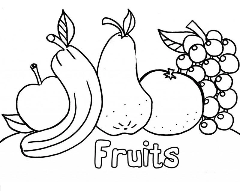 5 tuổi tranh tô màu cho bé 5 tuổi phát triển tư duy