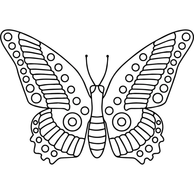 Gợi ý phối màu cực xinh cho câu hỏi con bướm tô màu gì