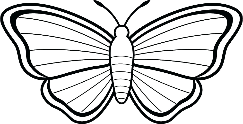Giúp bé nhận biết qua hình ảnh con bướm cho trẻ tô màu