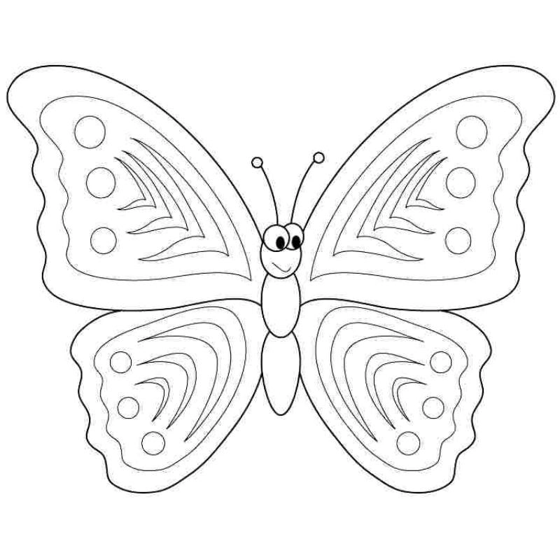 Tập tô với bộ tranh con bướm tô màu cực đáng yêu