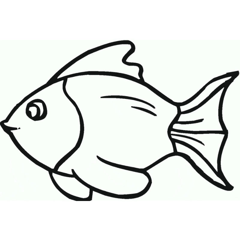 Tô sắc cho bộ tranh con cá tô màu cực kỳ đa dạng