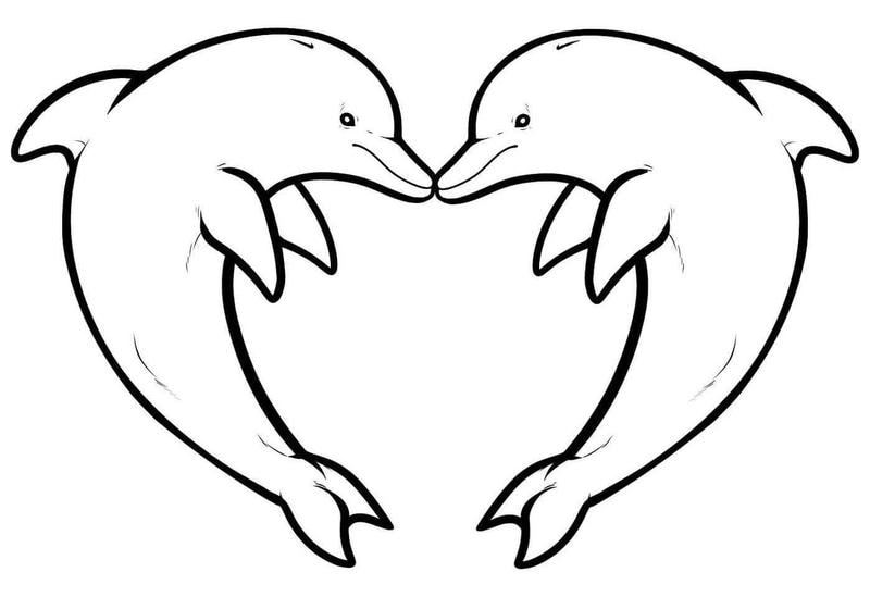 Khám phá ngay bộ hình con cá heo tô màu siêu dễ in