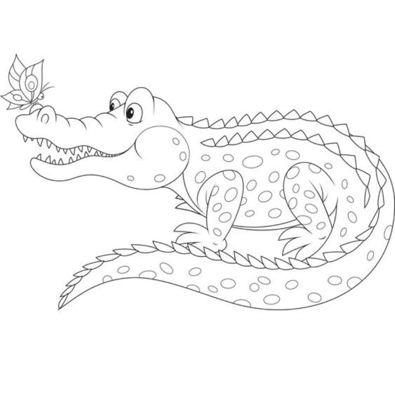Bé yêu khám phá tranh tô màu con cá sấu cực kỳ sinh động