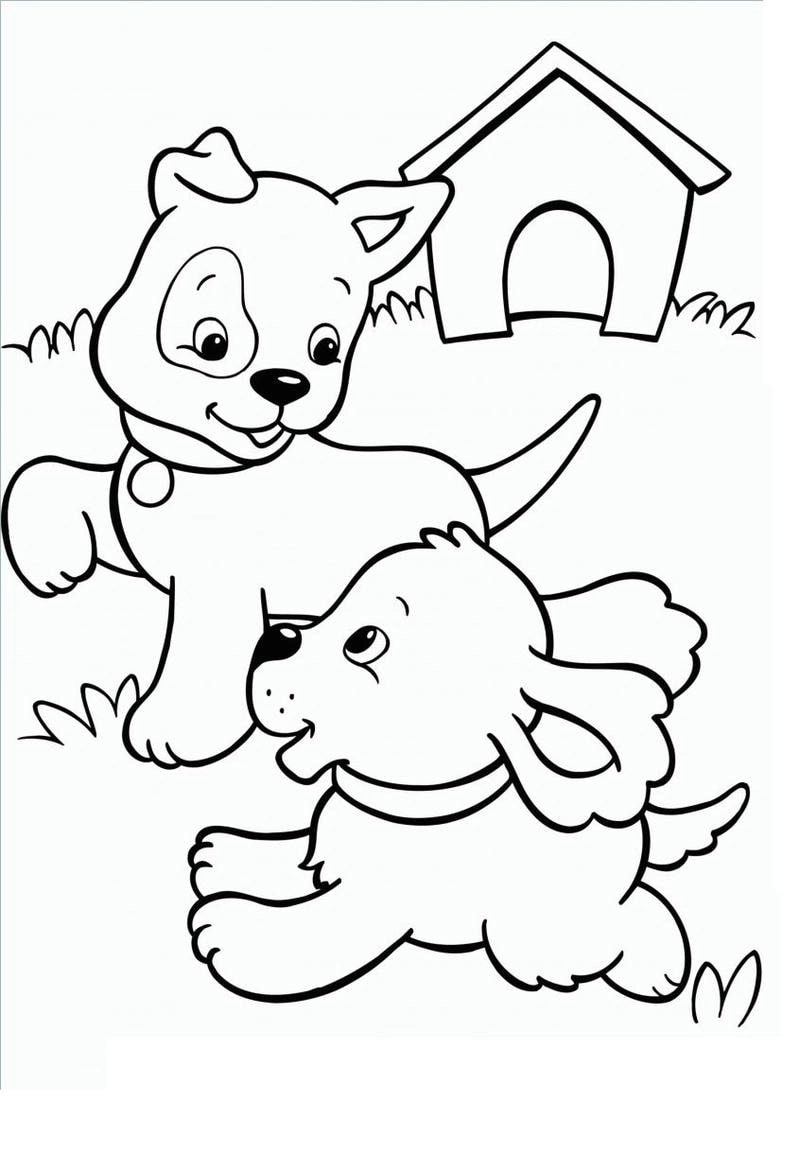 Sáng tạo cùng tô màu vẽ con chó đầy thú vị