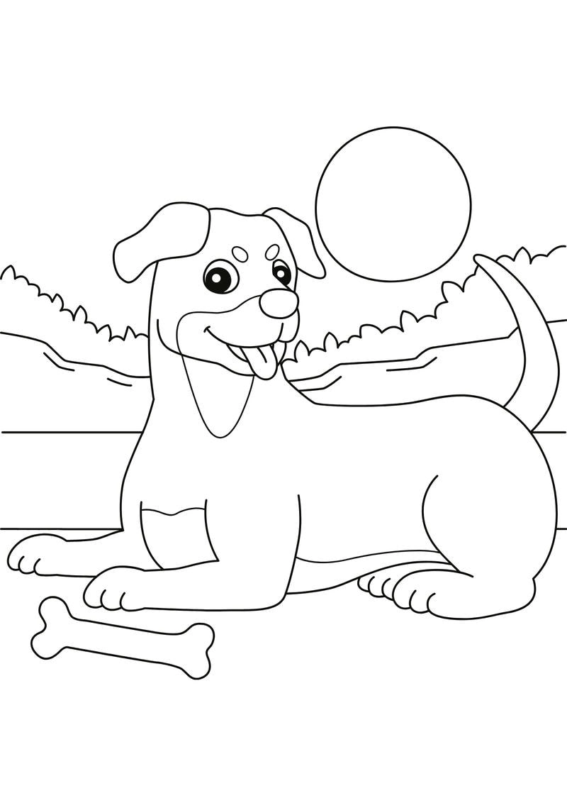 Khám phá hình tô màu con chó đẹp cho bé