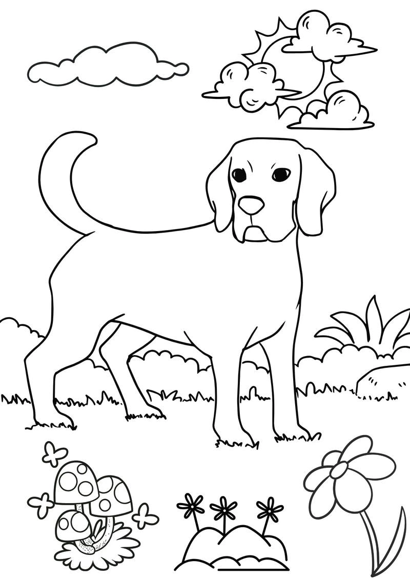 Bé yêu thích tranh tô màu con chó cho bé dễ thương