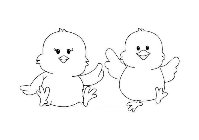 Thỏa sức sáng tạo tô màu tranh con gà đẹp