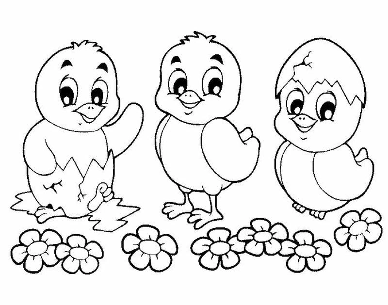 Sáng tạo tô màu con gà cute cho bé yêu