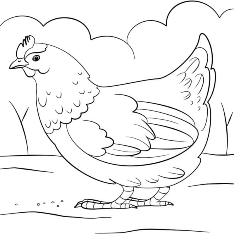 Bé thích hình con gà tô màu dễ thương