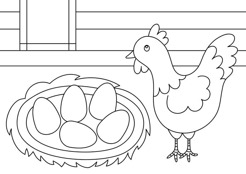 Khám phá hình ảnh tô màu con gà sinh động