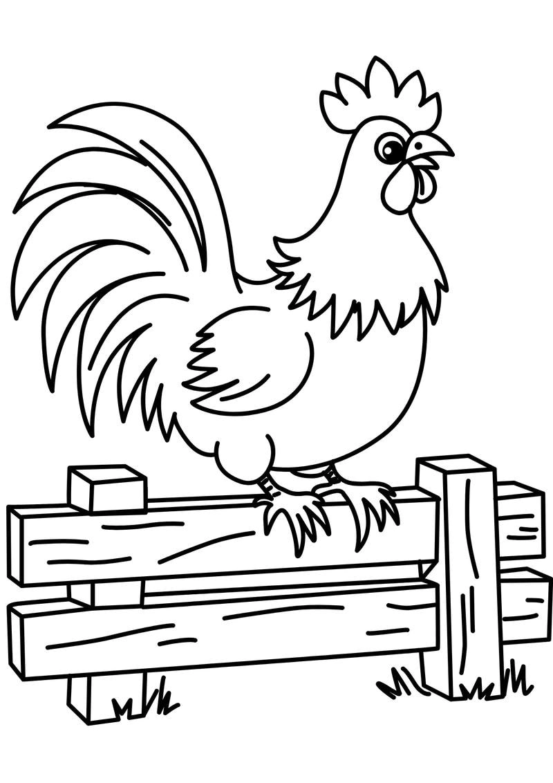 Thỏa sức con gà trống tô màu cùng bé yêu