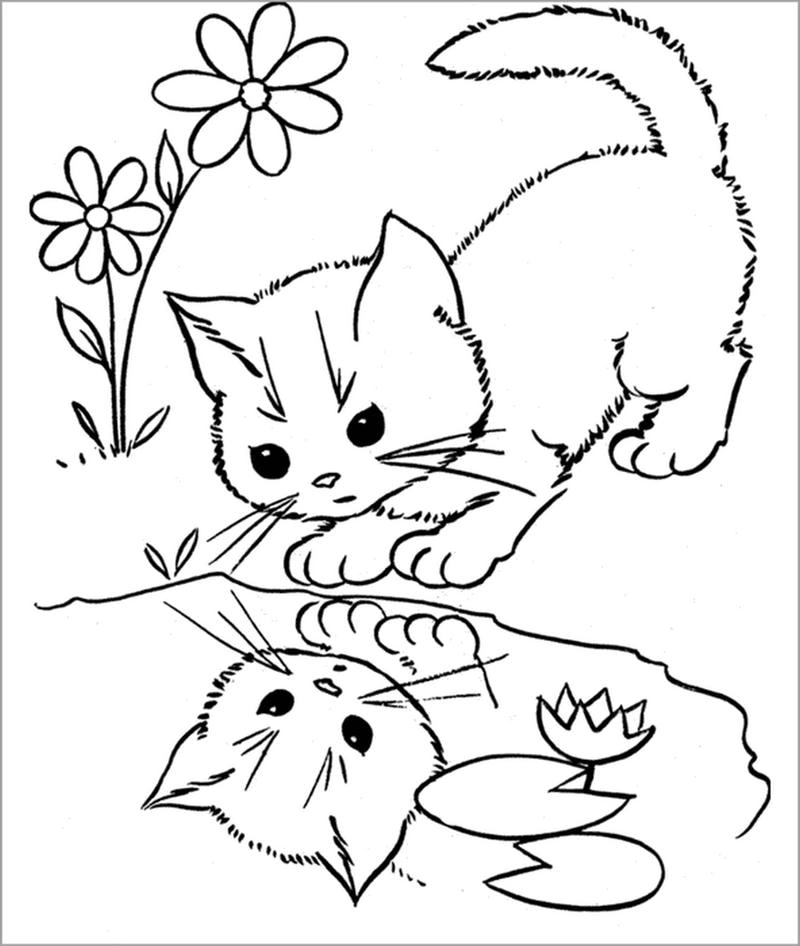 Thích mê tô màu mèo cute cho mọi lứa tuổi