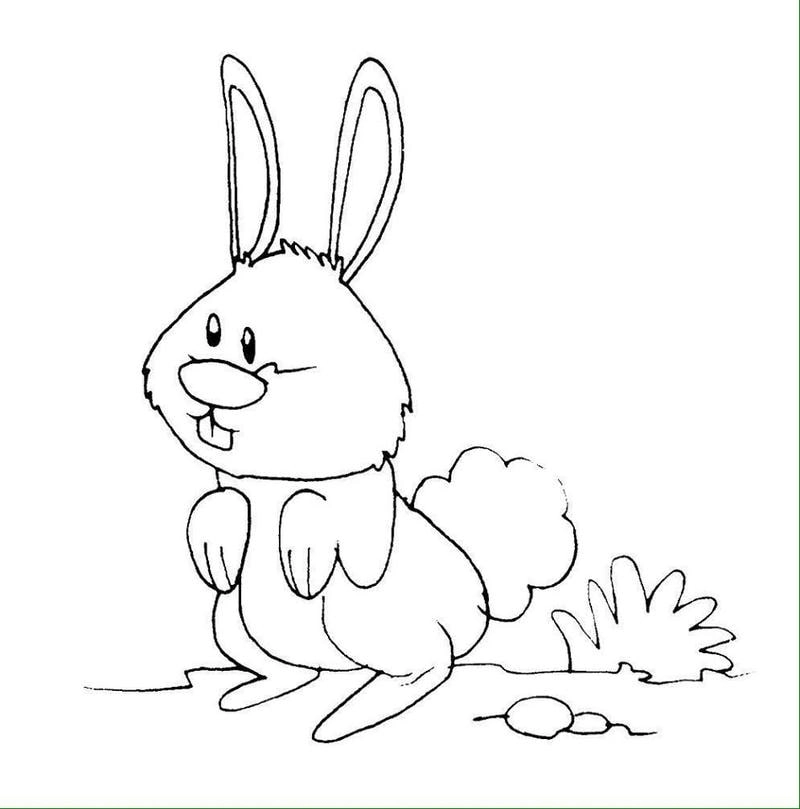 Tải ngay in hình con thỏ cho bé tô màu chất lượng cao