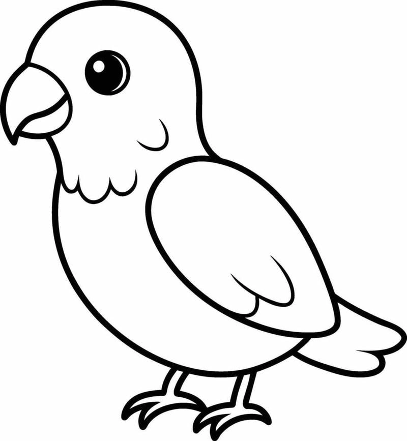 Bộ sưu tập mầm non tranh tô màu con vật dành cho bé