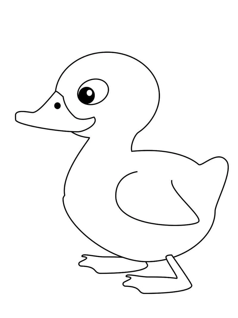 Gợi ý phối màu cho tô màu con vịt dễ thương