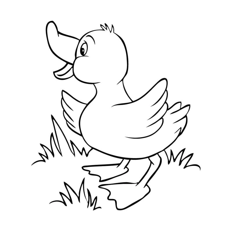 Tặng bé bộ sưu tập vịt con tô màu