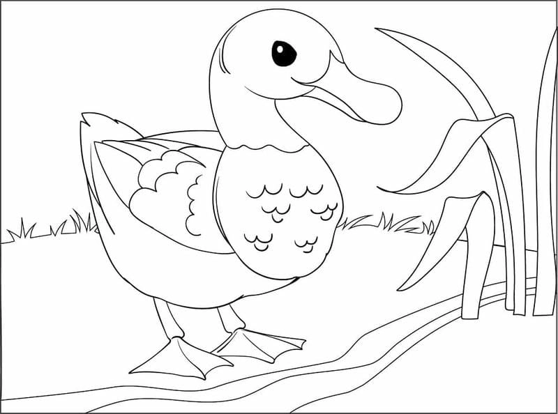 Bé học thủ công cùng mẫu tô tượng vịt