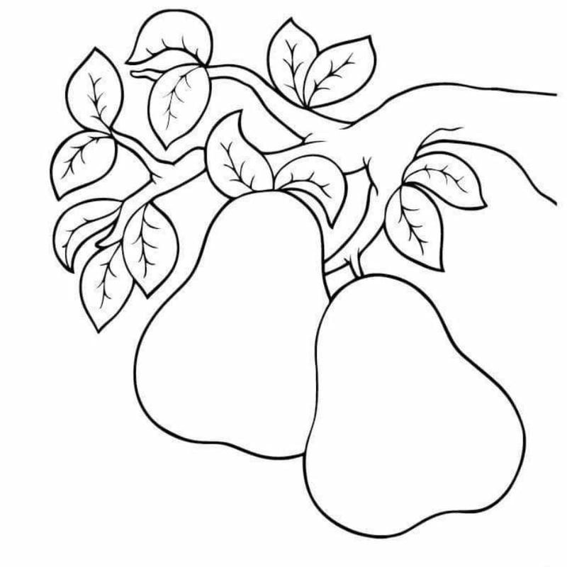 Thỏa sức sáng tạo với tô màu đồ ăn dễ thương độc đáo