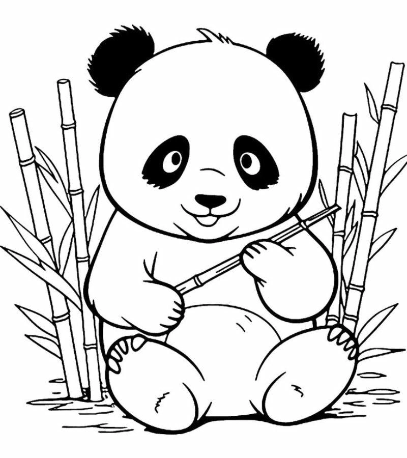 Mở khóa bộ tranh tô màu gấu trúc cute giúp bé yêu màu sắc