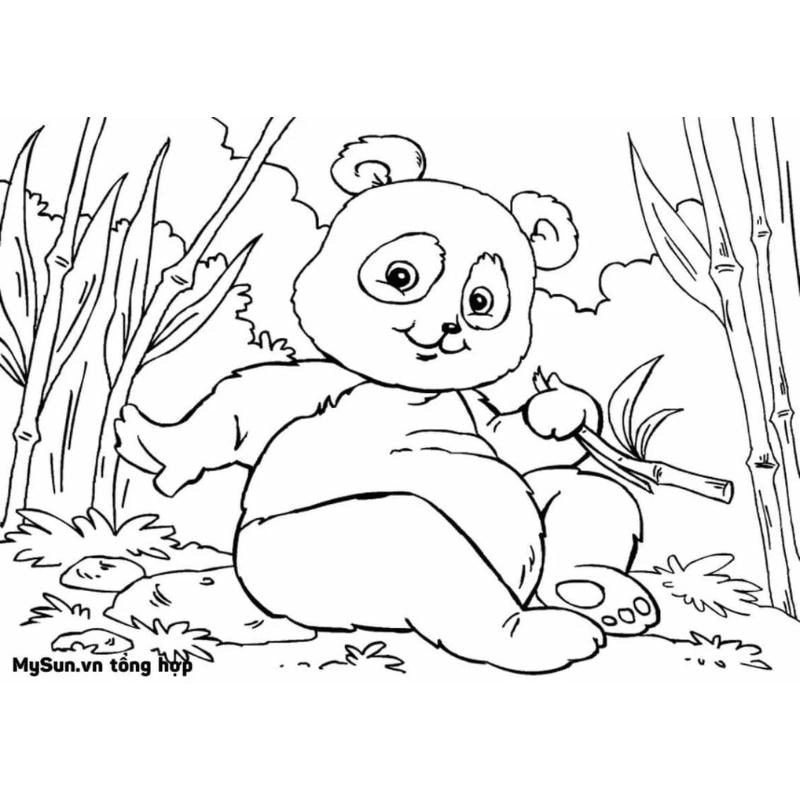 Hình ảnh gấu bông tô màu mềm mại đáng yêu cho bé học tô mỗi ngày