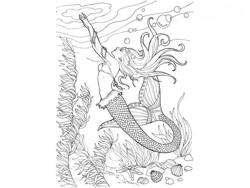 In hình nàng tiên cá tô màu đẹp, chuẩn file kỹ thuật số
