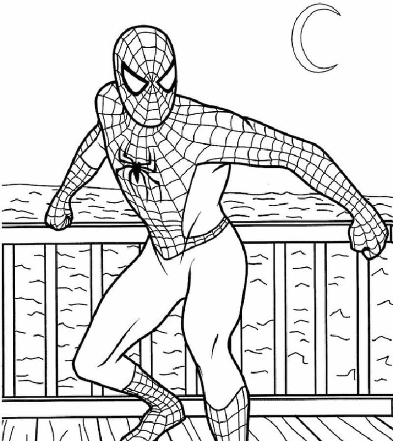 Chọn ngay spider man tranh tô màu người nhện cho bé