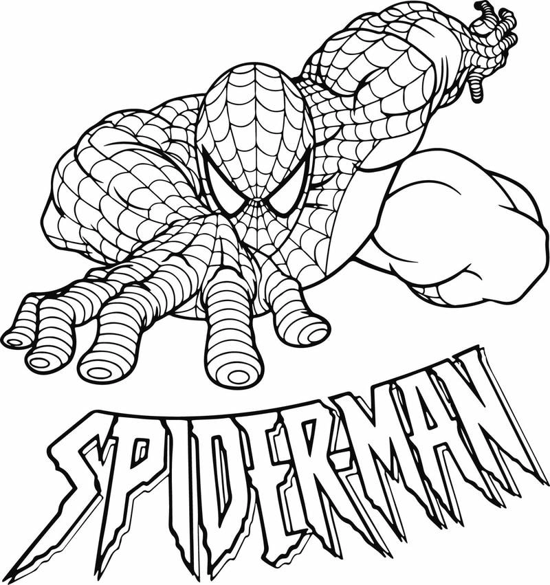 In ngay bộ in hình tô màu người nhện đẹp mắt