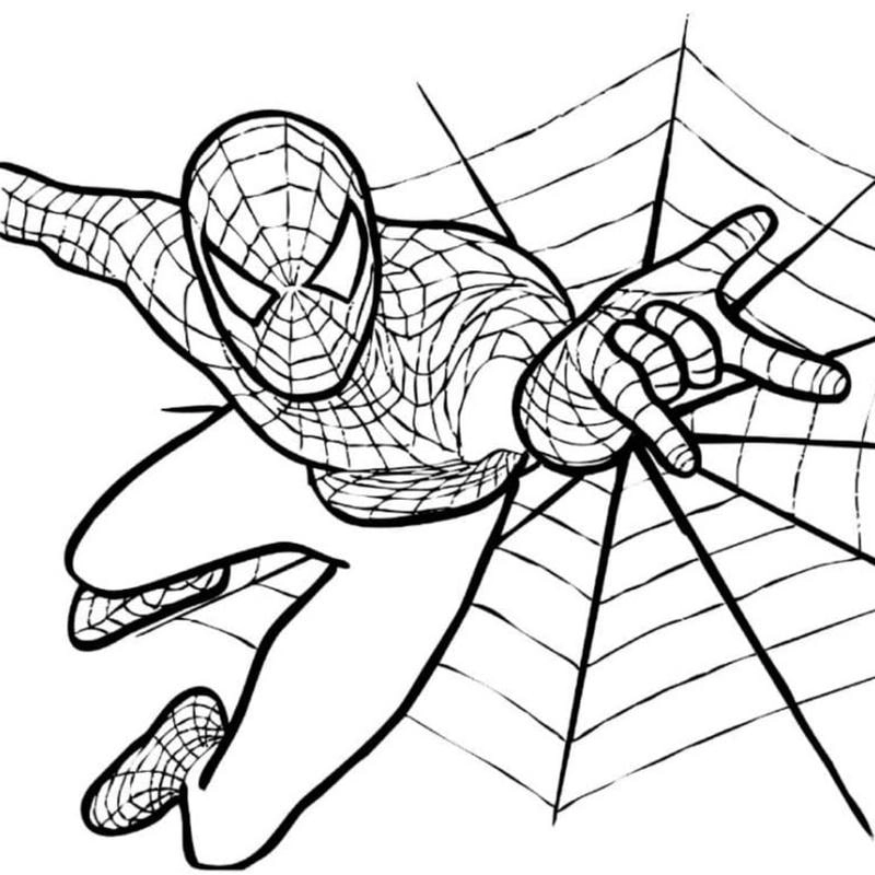 Tải ngay tranh to màu người nhện sinh động cho bé