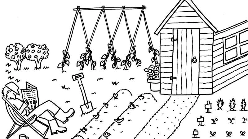 Cảm nhận vẻ đẹp đất trời qua tô màu phong cảnh