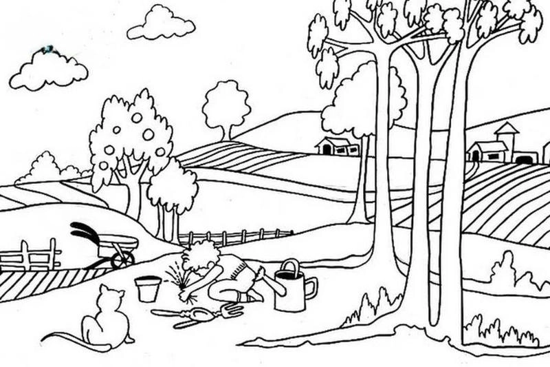 Khơi nguồn ký ức qua tô màu cảnh quê hương dịu dàng