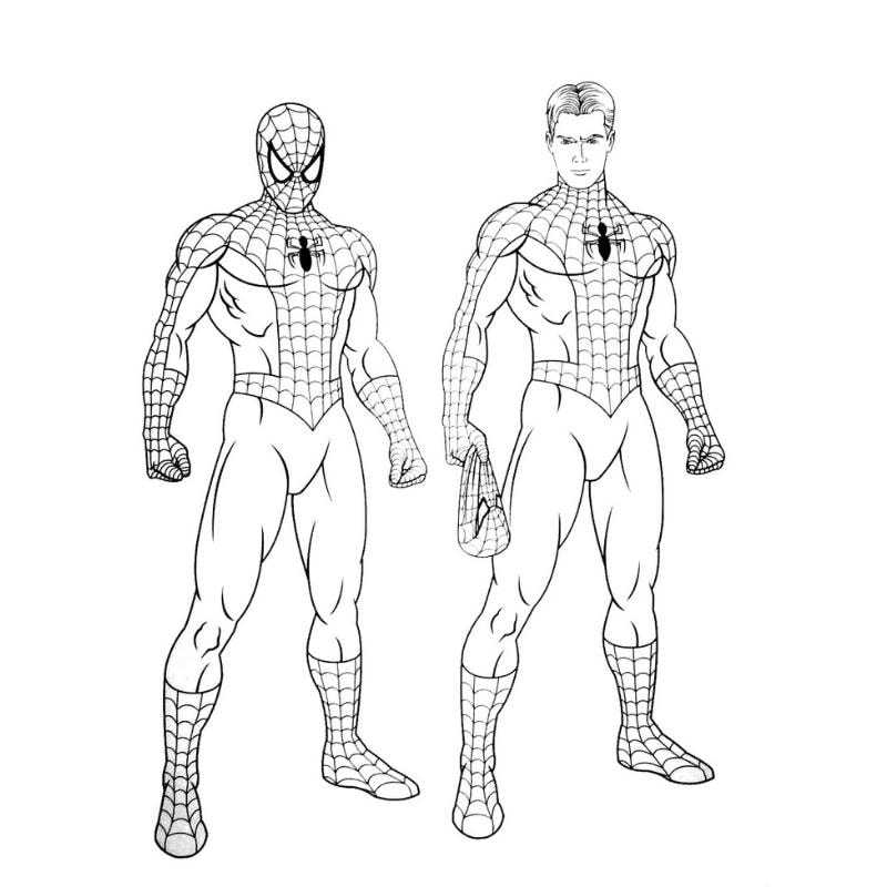 Thử ngay siêu nhân nhện tô màu cực kỳ cuốn hút