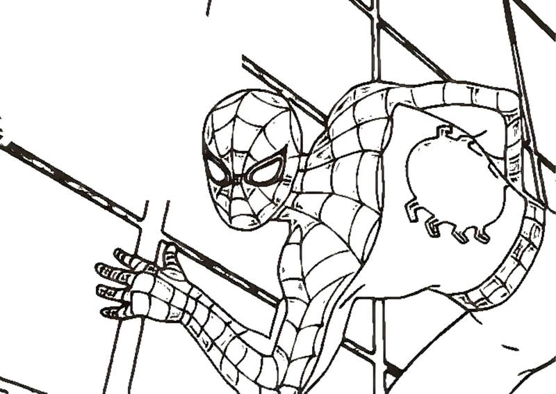 Bé yêu thích spiderman tô màu đầy màu sắc
