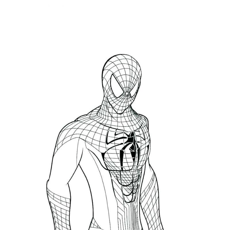 Vẽ tranh tô màu spider độc đáo cho trẻ em