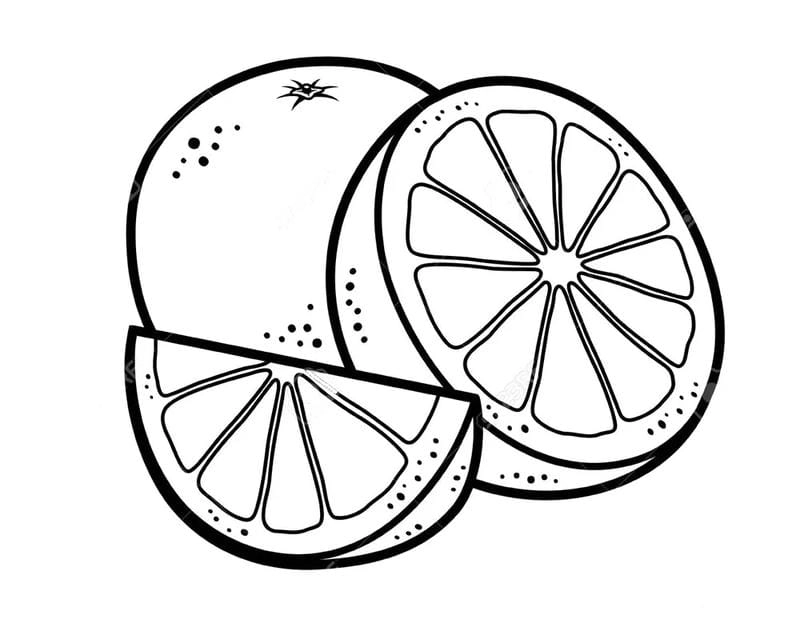 Khám phá trái cây tranh tô màu quả cam cho bé tô vui