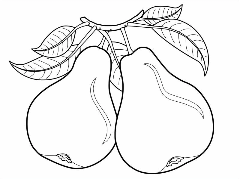 Học hỏi với loại rau củ trái cây tranh tô màu các loại quả